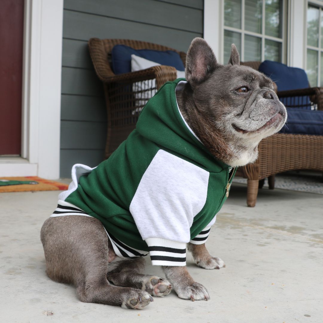 Frenchie Dog Hoodie - Emerald City Varsity from Frenchie Bulldog