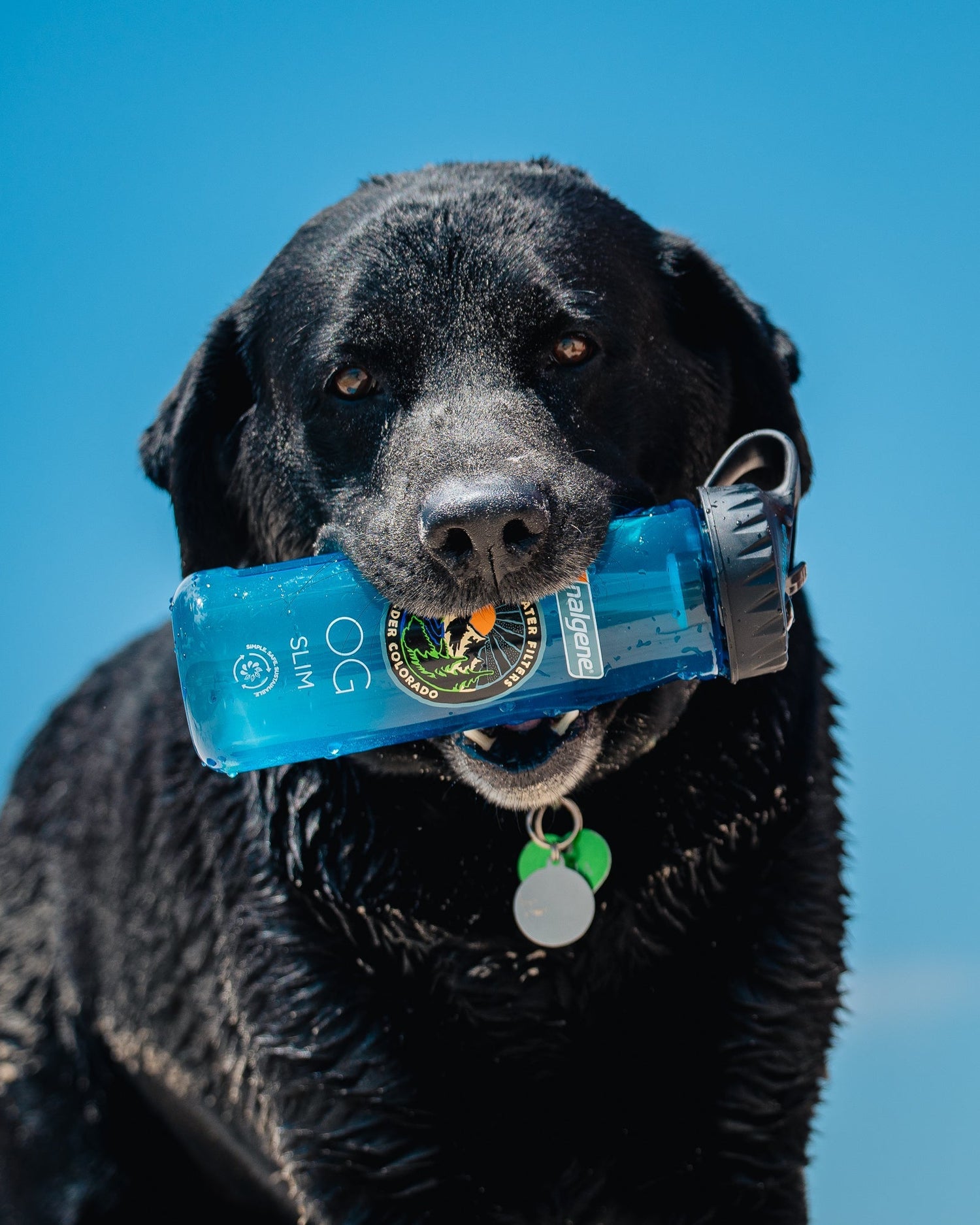 Nalgene OG Slim | 24 oz from Epic Water Filters USA