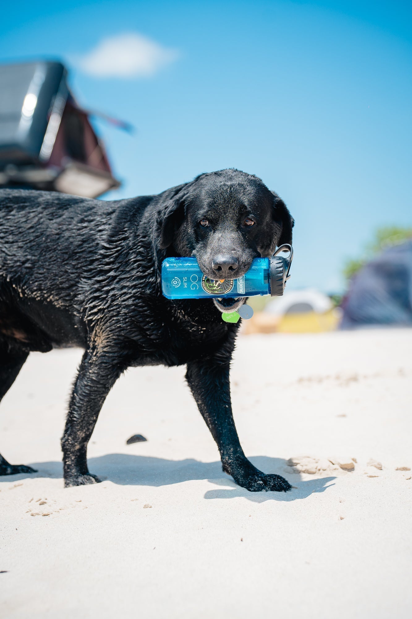 Nalgene OG Slim | 24 oz from Epic Water Filters USA