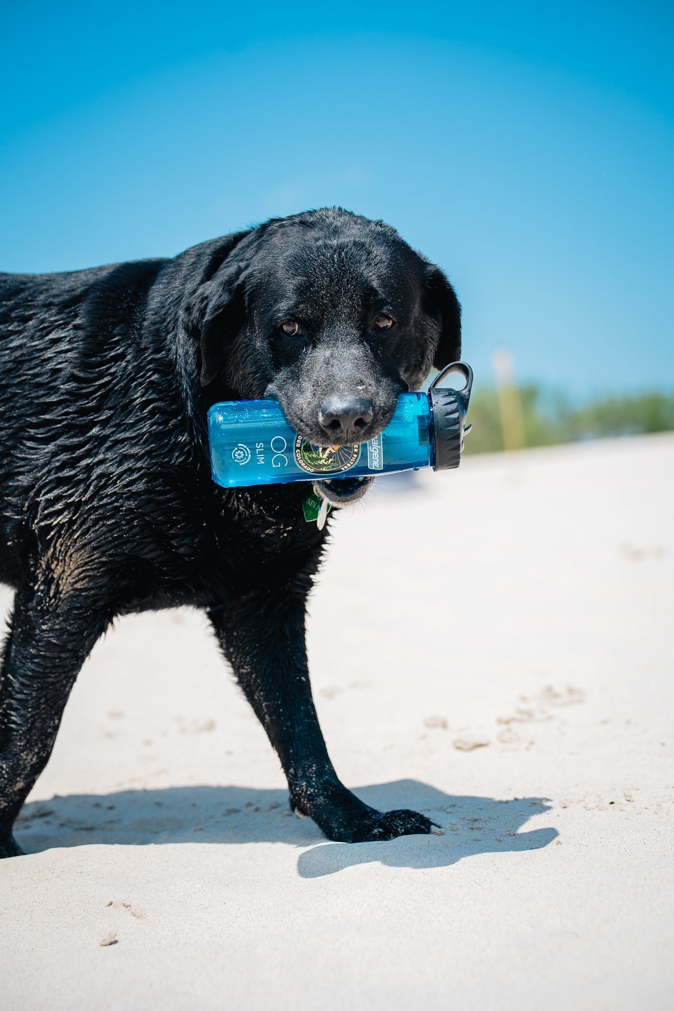 Nalgene OG Slim | 24 oz from Epic Water Filters USA