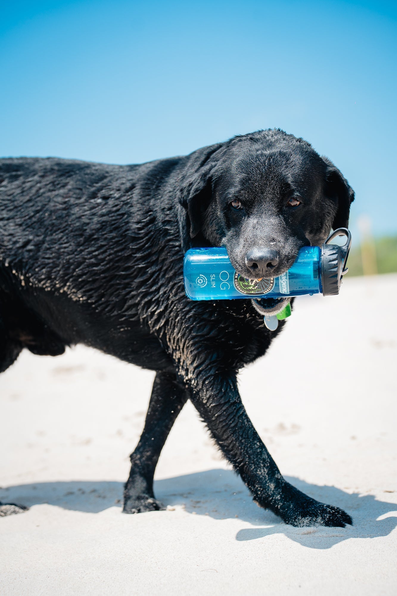 Nalgene OG Slim | 24 oz from Epic Water Filters USA