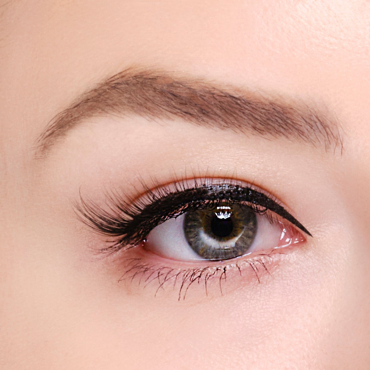 Synthetic Eyelashes - Espana from False Eyelashes