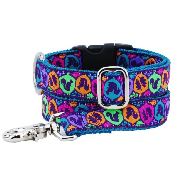 Squirrel Essential Buckle Martingale 1″ Dog Collar From 2 Hounds Design
