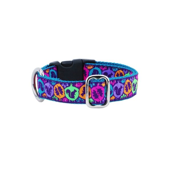Squirrel Essential Martingale 1″ Dog Collar From 2 Hounds Design