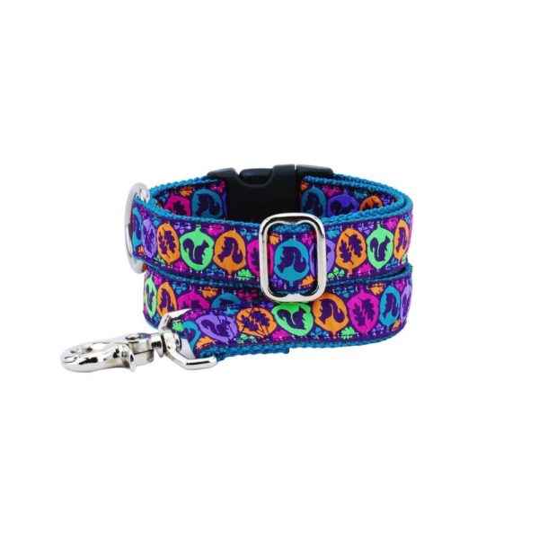 1″ Squirrel Ribbon Dog Leash from 2 Hounds Design