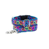 1″ Squirrel Ribbon Dog Leash from 2 Hounds Design