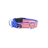 1″ Stars and Stripes Essential Martingale Dog Collar from 2 Hounds Design