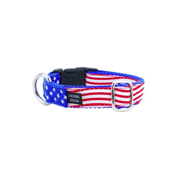 1″ Stars and Stripes Essential Dog Collar from 2 Hounds Design