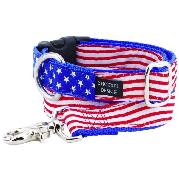 1″ Stars and Stripes Essential Buckle Martingale Dog Collar from 2 Hounds Design