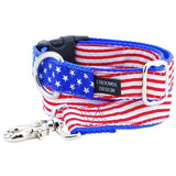1″ Stars and Stripes Essential Buckle Martingale Dog Collar from 2 Hounds Design