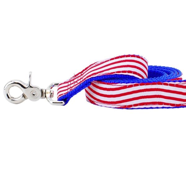 1″ Stars and Stripes Ribbon Dog Leash from 2 Hounds Design