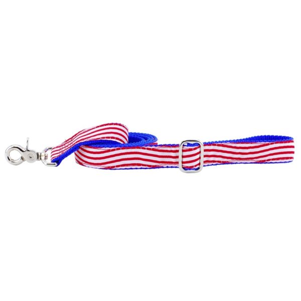 1″ Stars and Stripes Ribbon Dog Leash from 2 Hounds Design