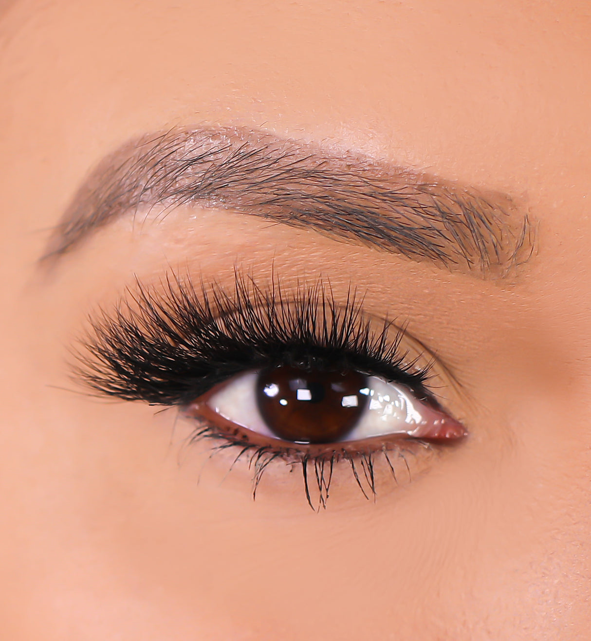 Mink 3D Eyelashes - Lioness from Lurella Cosmetics