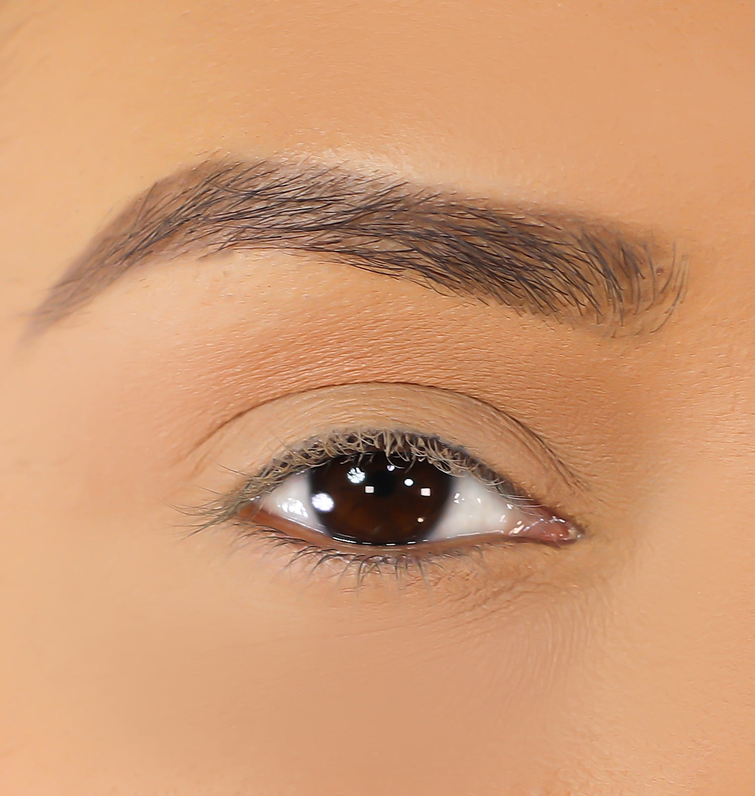 Mink 3D Eyelashes - Aya from Lurella Cosmetics