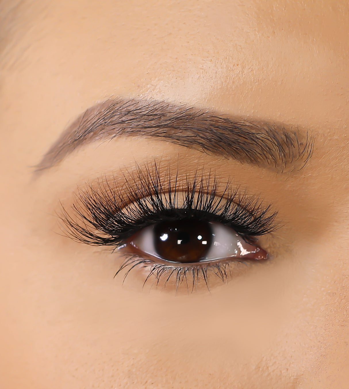 3D Mink Eyelashes - Soul Sista from False Eyelashes