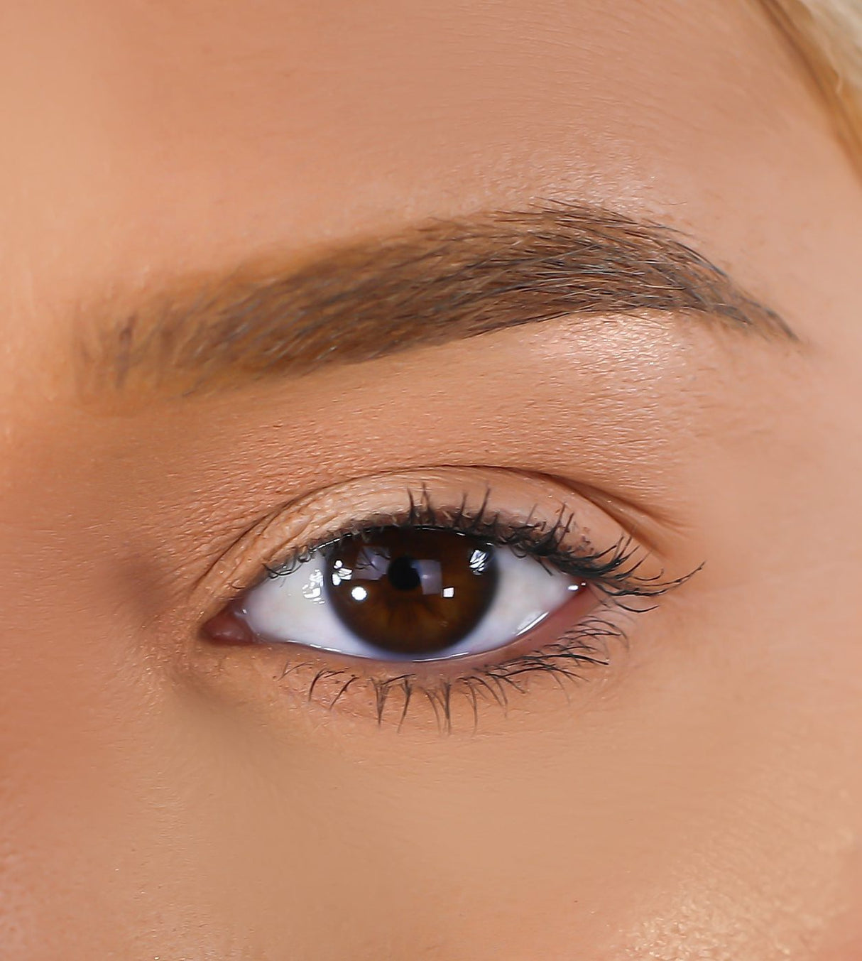 Mink 3D Eyelashes - Attached from Lurella Cosmetics