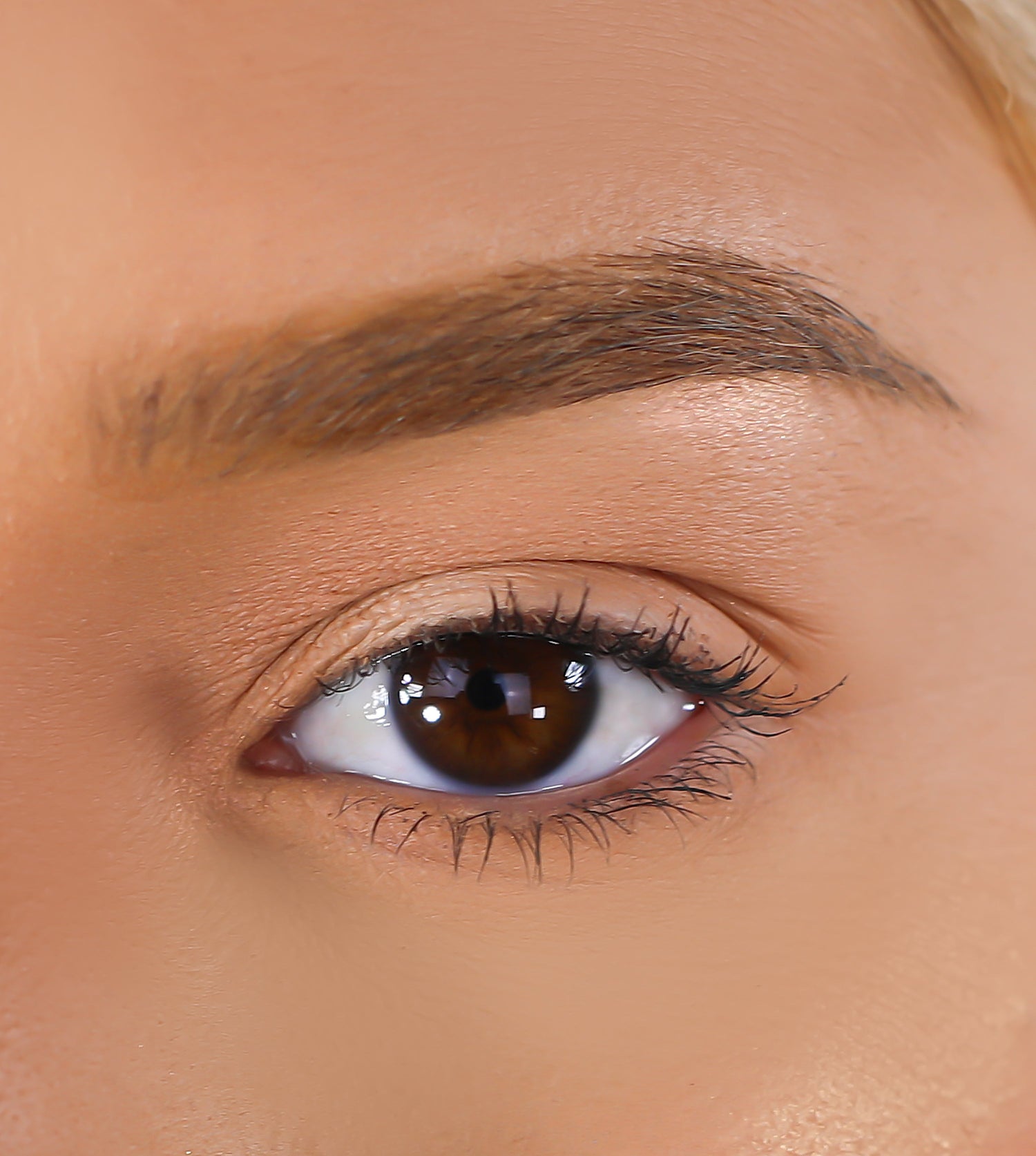 Mink 3D Eyelashes - Cardi from Lurella Cosmetics