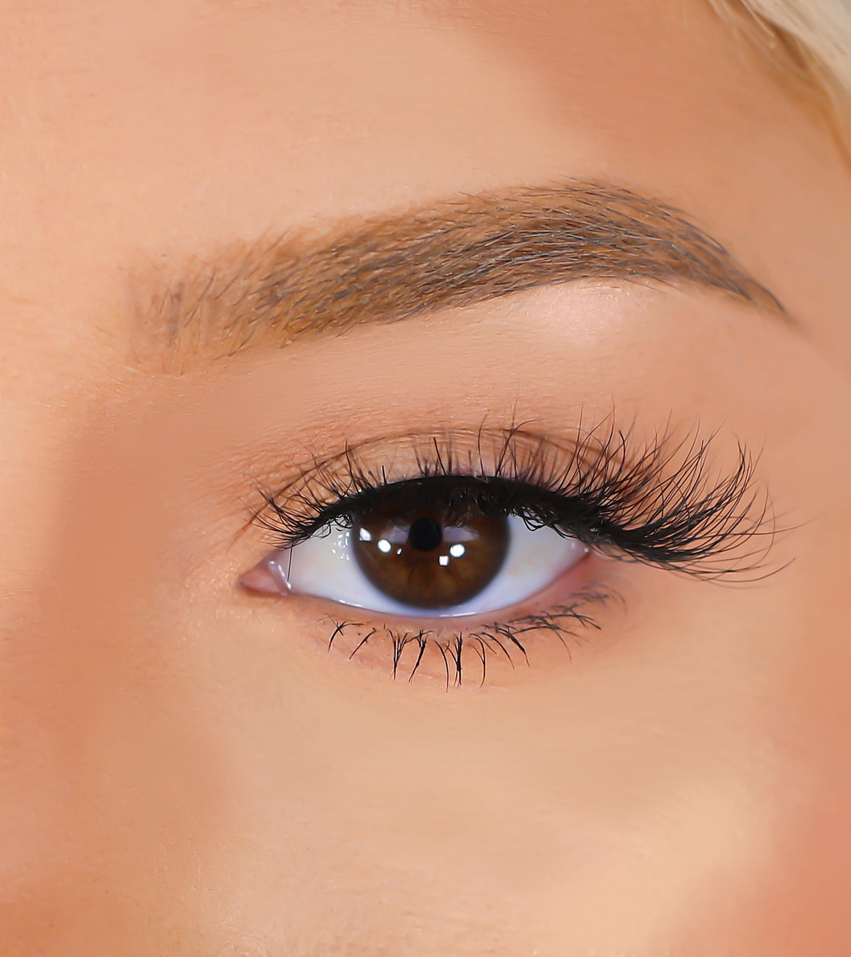 Mink 3D Eyelashes - Cardi from Lurella Cosmetics
