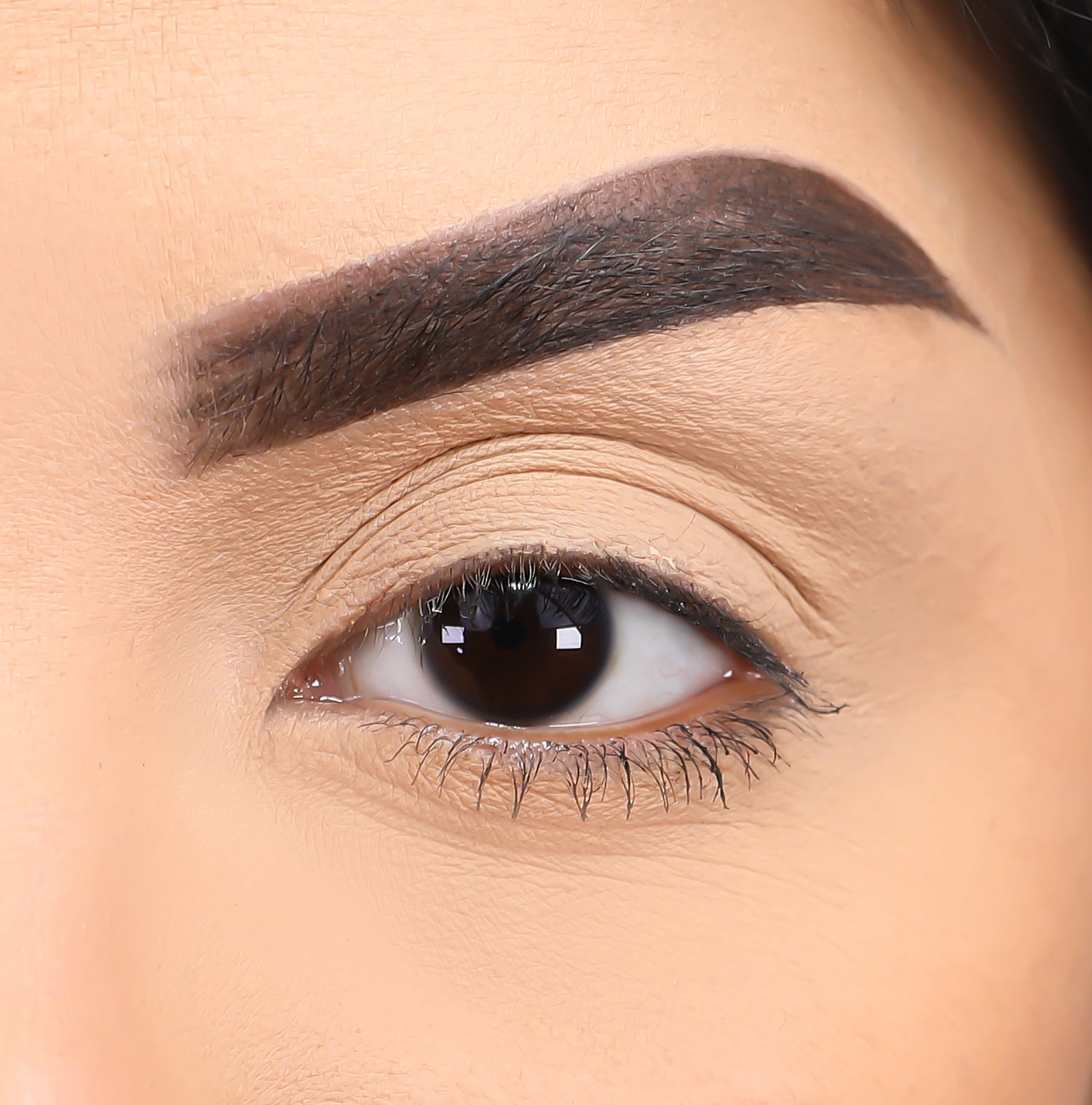 3D Mink Eyelashes - Scorpio from False Eyelashes