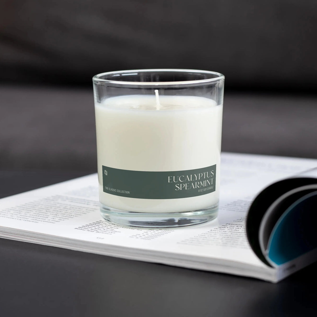 Eucalyptus Spearmint Candle from Pretty Honest Candles