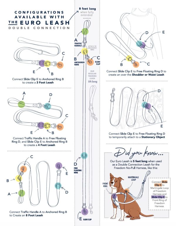 Euro Dog Leash Double Connection (Multiple Color Options) from 2 Hounds Design