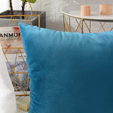 Velvet Cushion Covers from Moderny