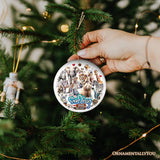 Artistic San Diego Zoo Classic Handcrafted Ornament, California State Ceramic Souvenir and Tree Decor from OrnamentallyYou