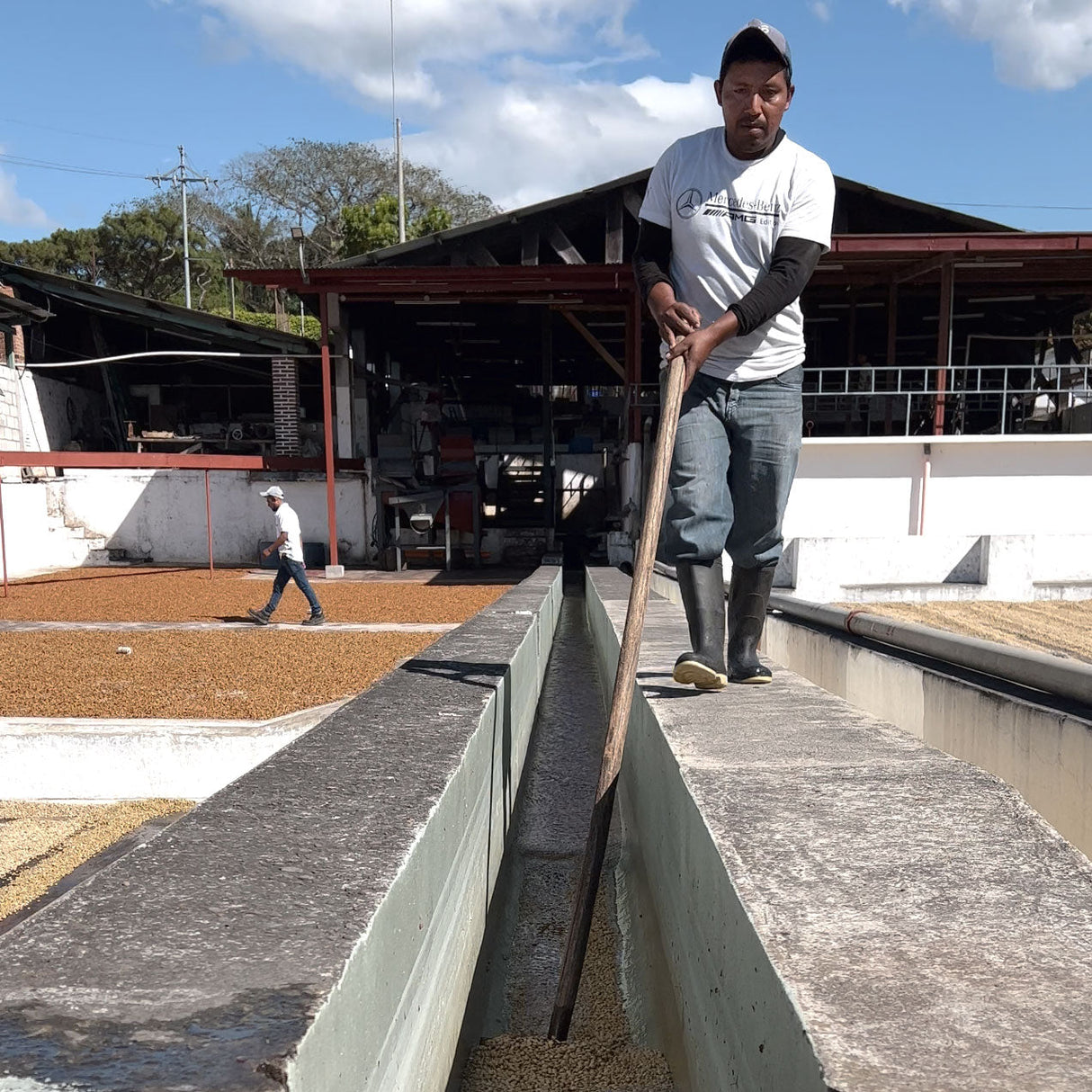 Guatemala - Slow Jam from Nossa Familia Coffee