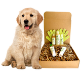 4-FURRY DOGS *RESTORATIVE GROOMING KIT from ReNewedPet