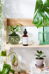 Organic Face & Eye Serum / Organic Facial Oil / Anti-Aging Serum / Organic Facial Serum / Natural Face Oil Butter Me Up Organics / from Butter Me Up Organics