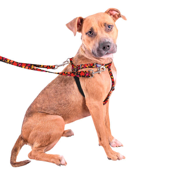 Falling Leaves Freedom No-Pull Dog Harness – EarthStyle from 2 Hounds Design