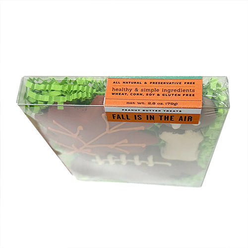 Fall is in the Air Box from Bubba Rose Biscuit Co.
