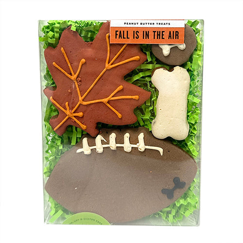 Fall is in the Air Box from Bubba Rose Biscuit Co.