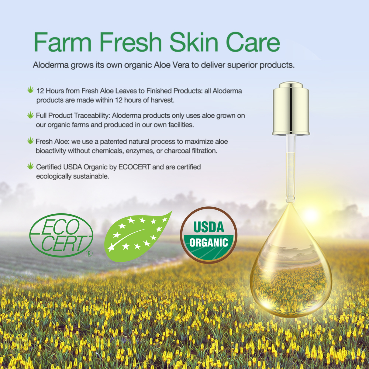Aloe Brightening Moisturizer from ALODERMA