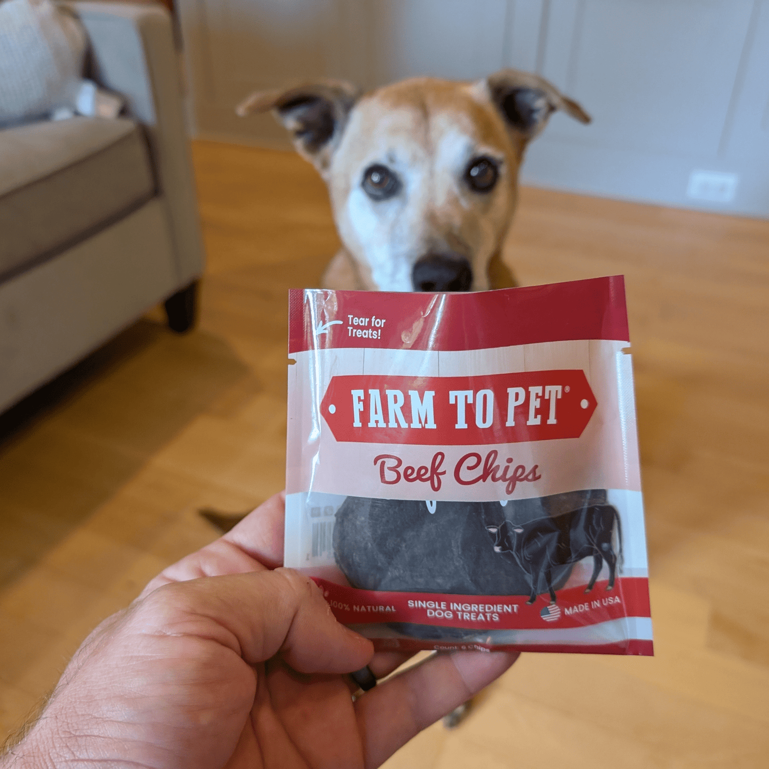 Beef Chips Snack Pack Bundles | Dog Treats for Training & Travel from Farm To Pet
