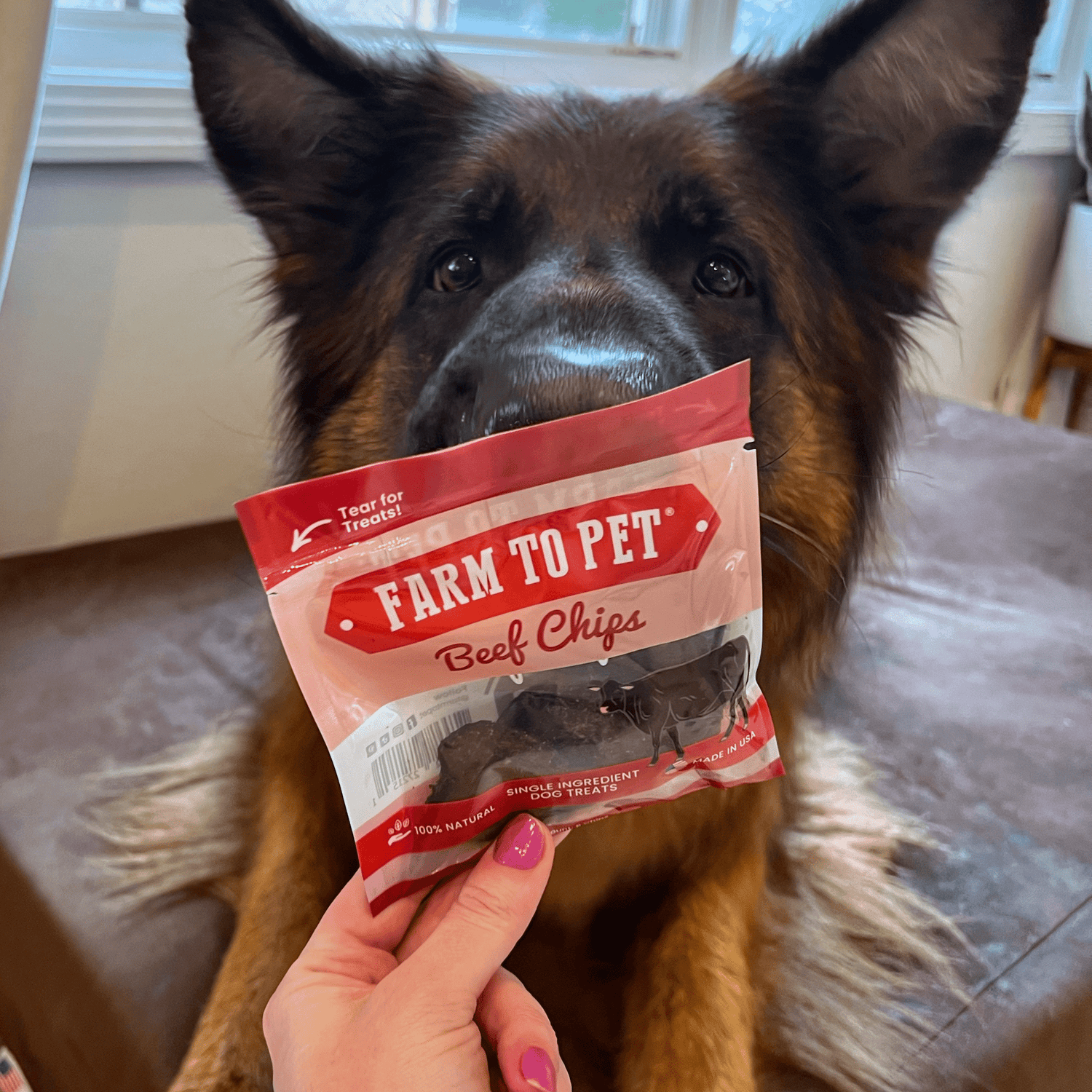 Puppy Packs 'n Snacks Dog Treat Starter Pack | Single-Ingredient Training Treats