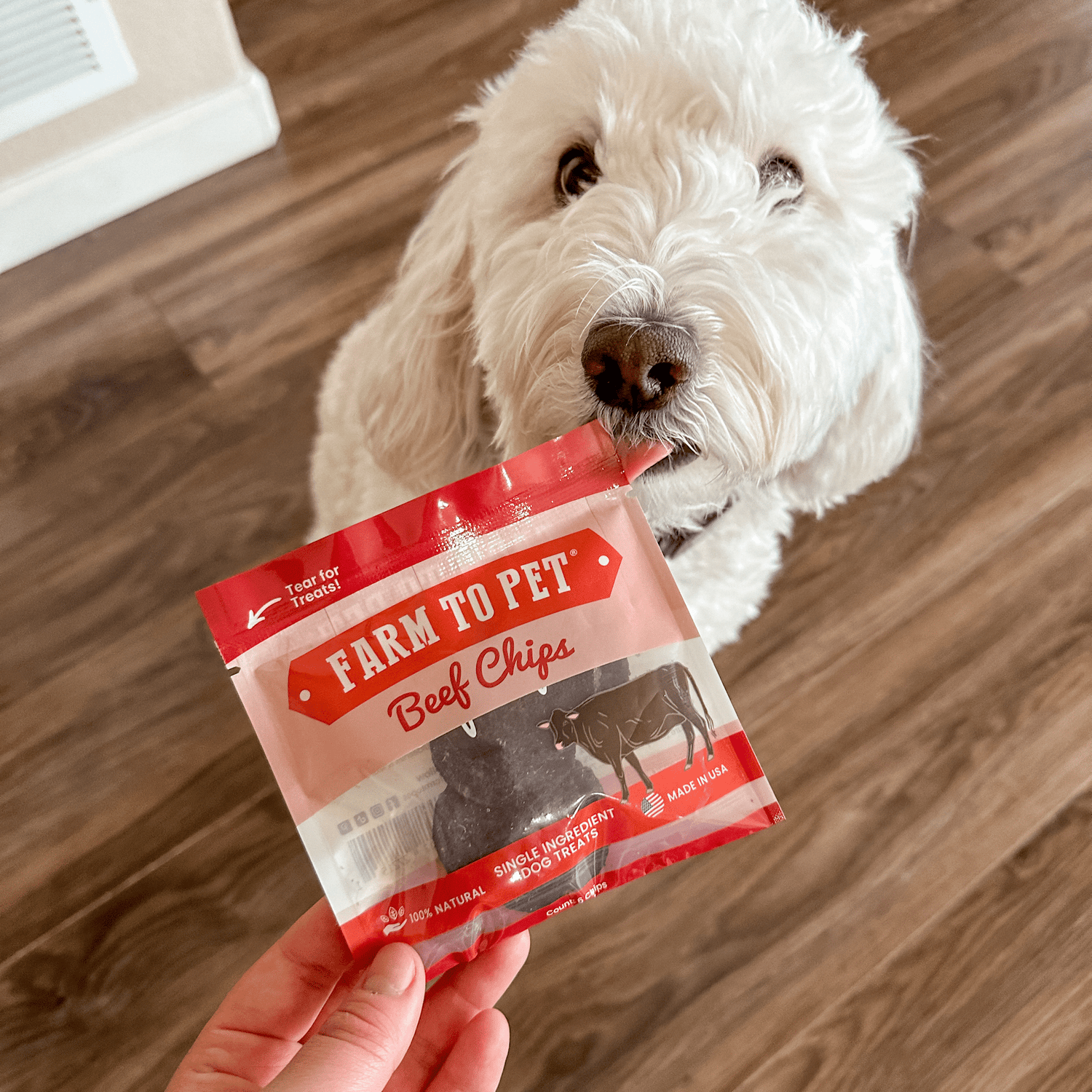 Beef Chips Snack Pack Bundles | Dog Treats for Training & Travel from Farm To Pet