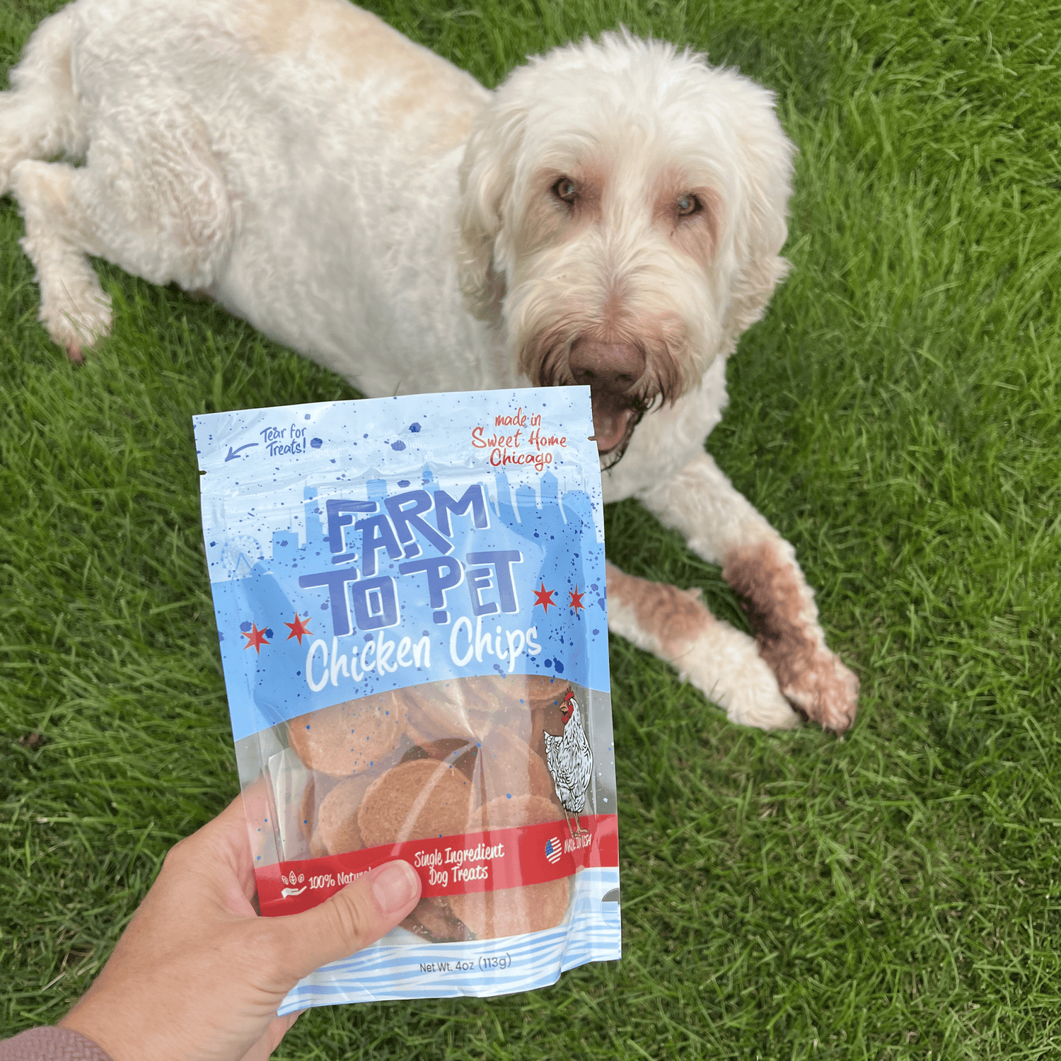 Chicago Chicken Chips for Dogs | Dog Treats To Celebrate Our Hometown from Farm To Pet