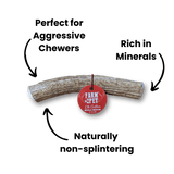 Whole Elk Antlers for Dogs | All-Natural Antler Dog Chews