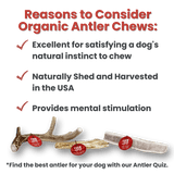 Split Elk Antlers for Dogs | All-Natural Antler Dog Chews from Farm To Pet