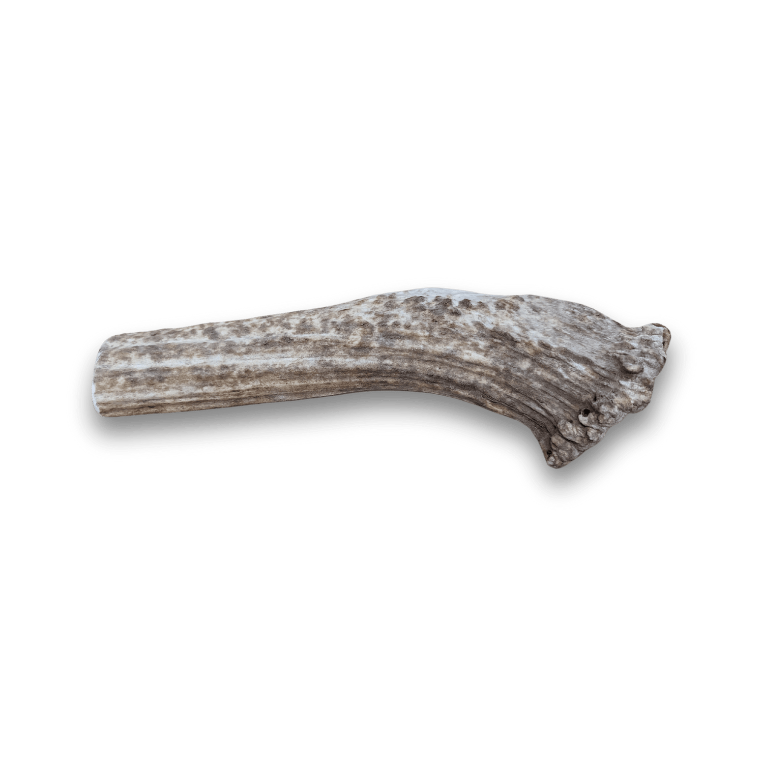 Split Elk Antlers for Dogs | All-Natural Antler Dog Chews from Farm To Pet