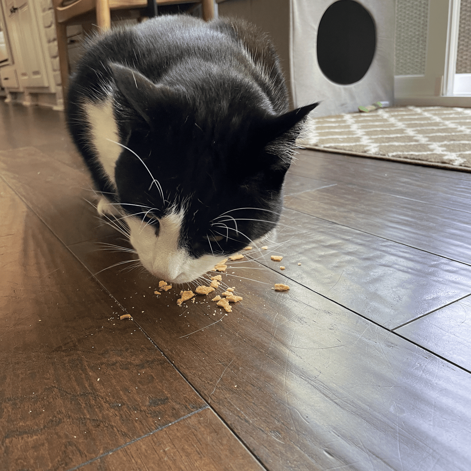 Turkey Crumbles for Cats | 100% Protein Cat Treats