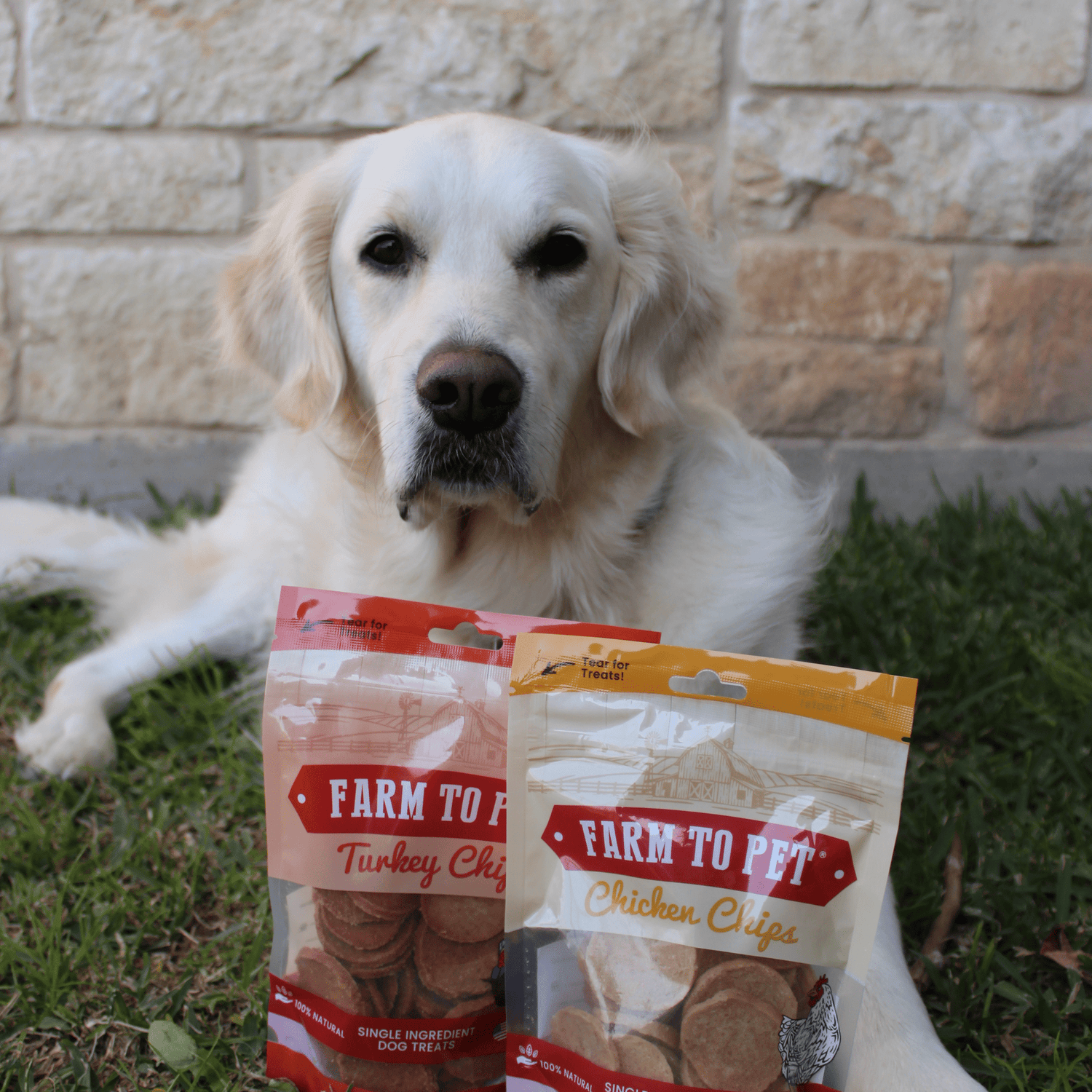 Turkey & Chicken Chip Dog Treat Duo | Single-Ingredient Poultry Treats for Dogs from Farm To Pet