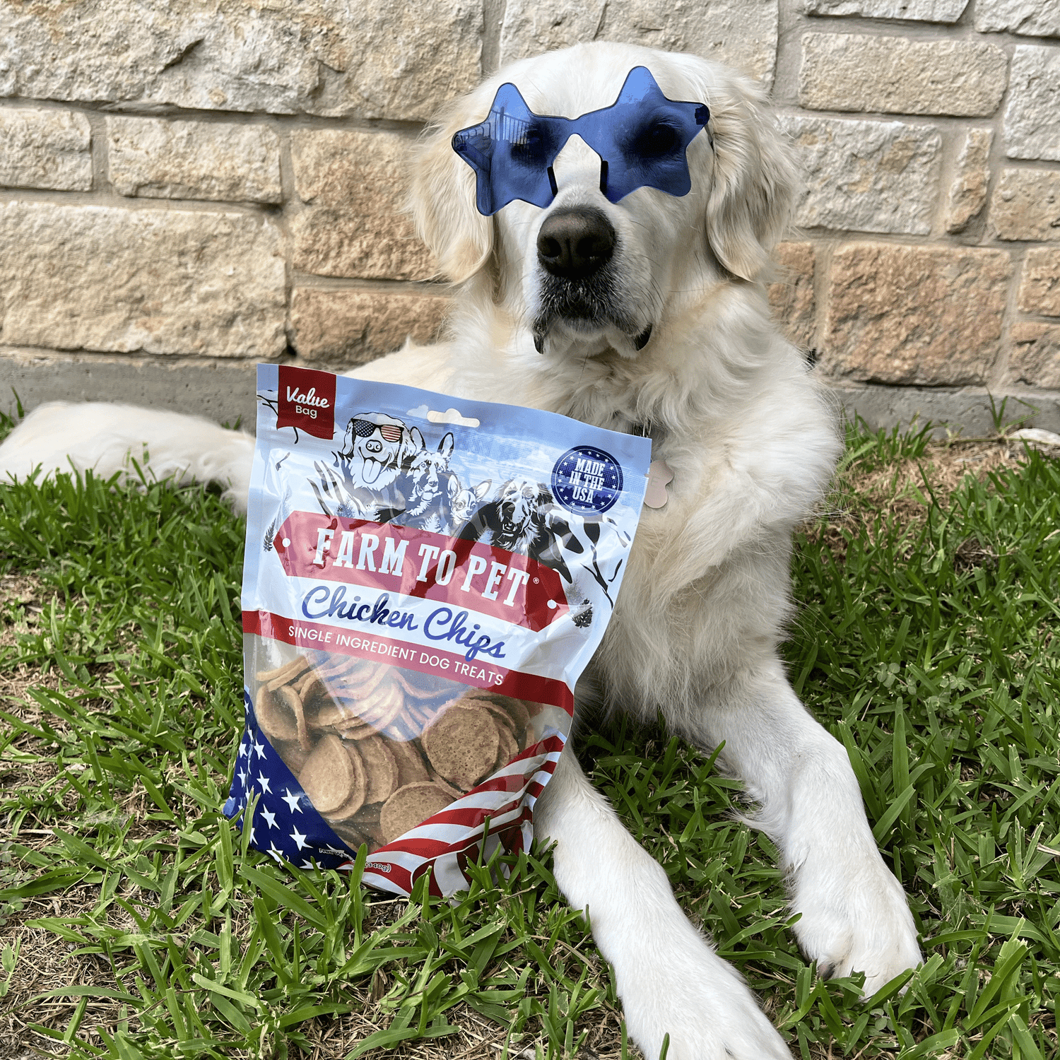 Americana Chicken Chips for Dogs | Celebrate with USA-made Dog Treats from Farm To Pet