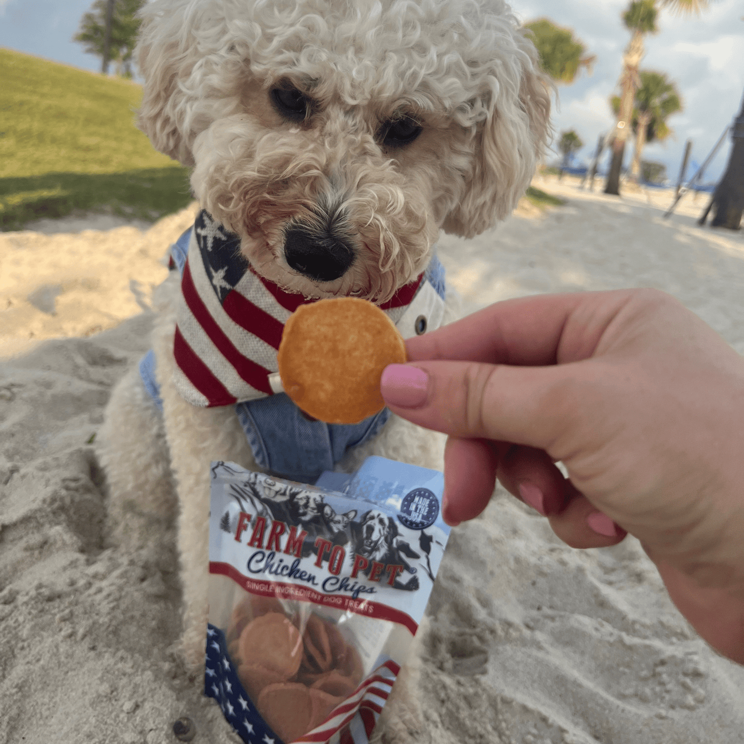 Americana Chicken Chips for Dogs | Celebrate with USA-made Dog Treats from Farm To Pet