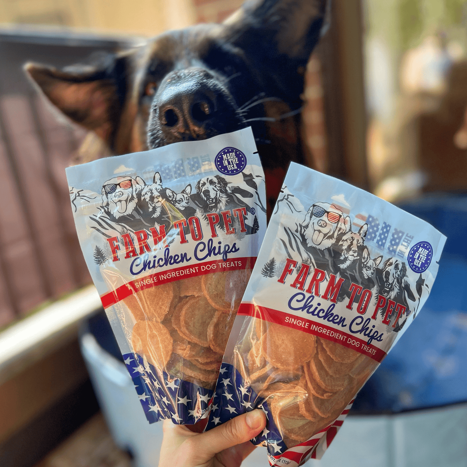 Americana Chicken Chips for Dogs | Celebrate with USA-made Dog Treats from Farm To Pet