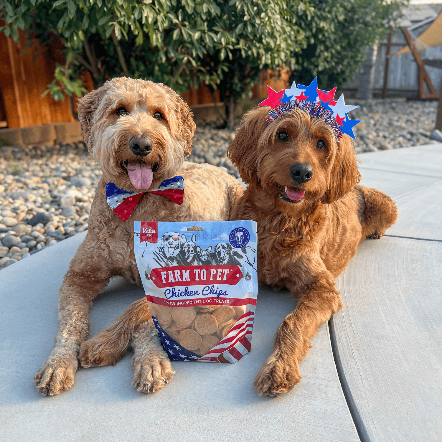 Americana Chicken Chips for Dogs | Celebrate with USA-made Dog Treats from Farm To Pet