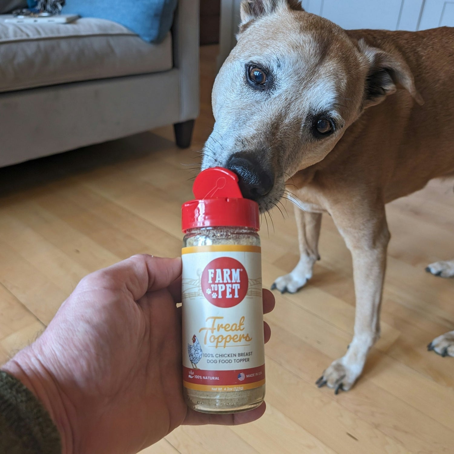 Treat Topper Chicken Dog Food Topper | Healthy Meal Supplement for Dogs from Farm To Pet