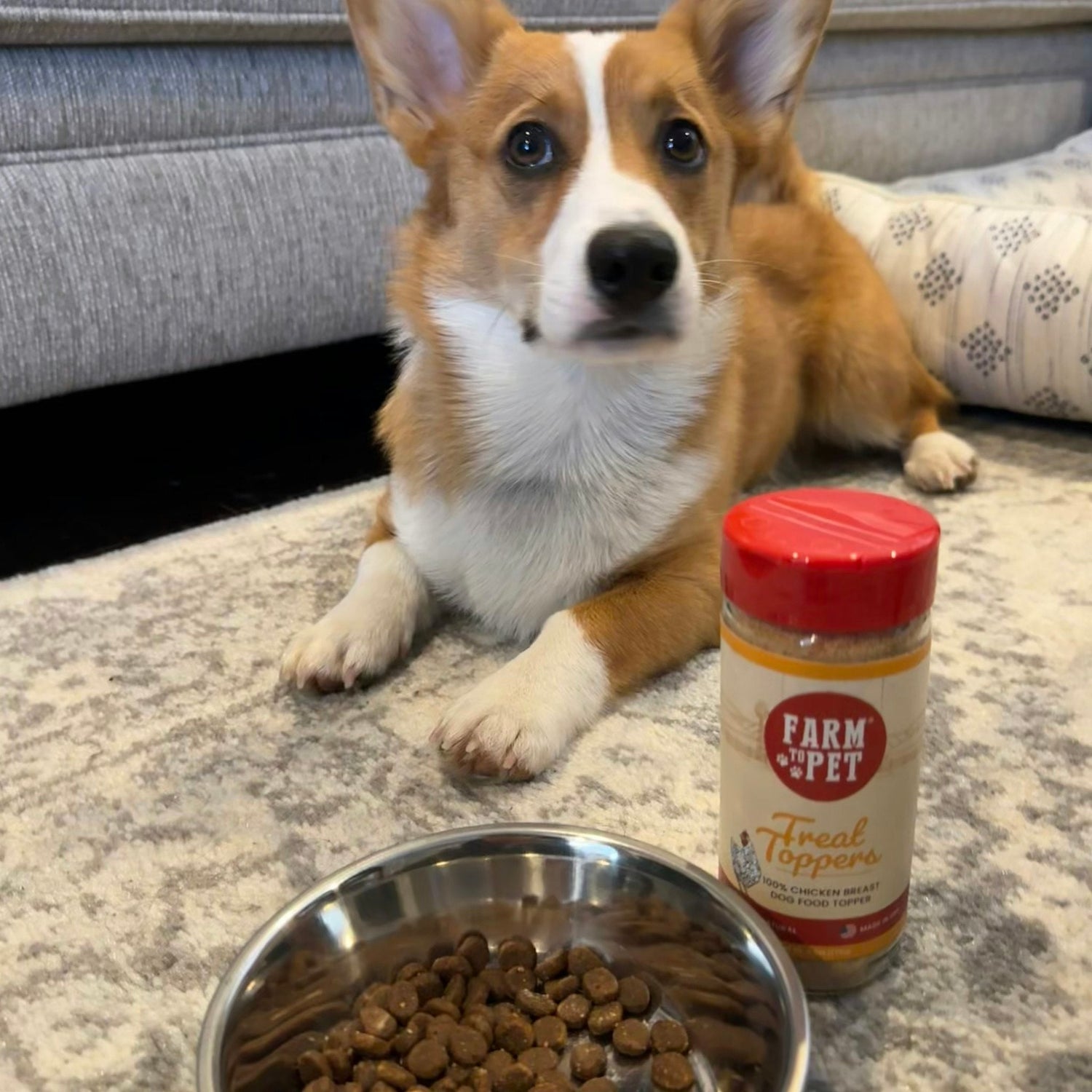 Treat Topper Chicken Dog Food Topper | Healthy Meal Supplement for Dogs from Farm To Pet