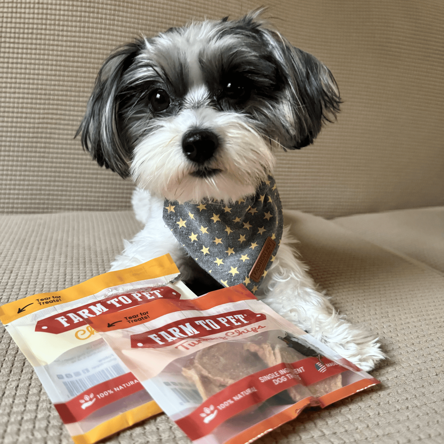 Puppy Packs 'n Snacks Dog Treat Starter Pack | Single-Ingredient Training Treats
